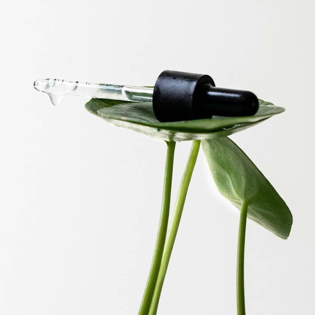 Brightening Serum with 14% PHA — Typology