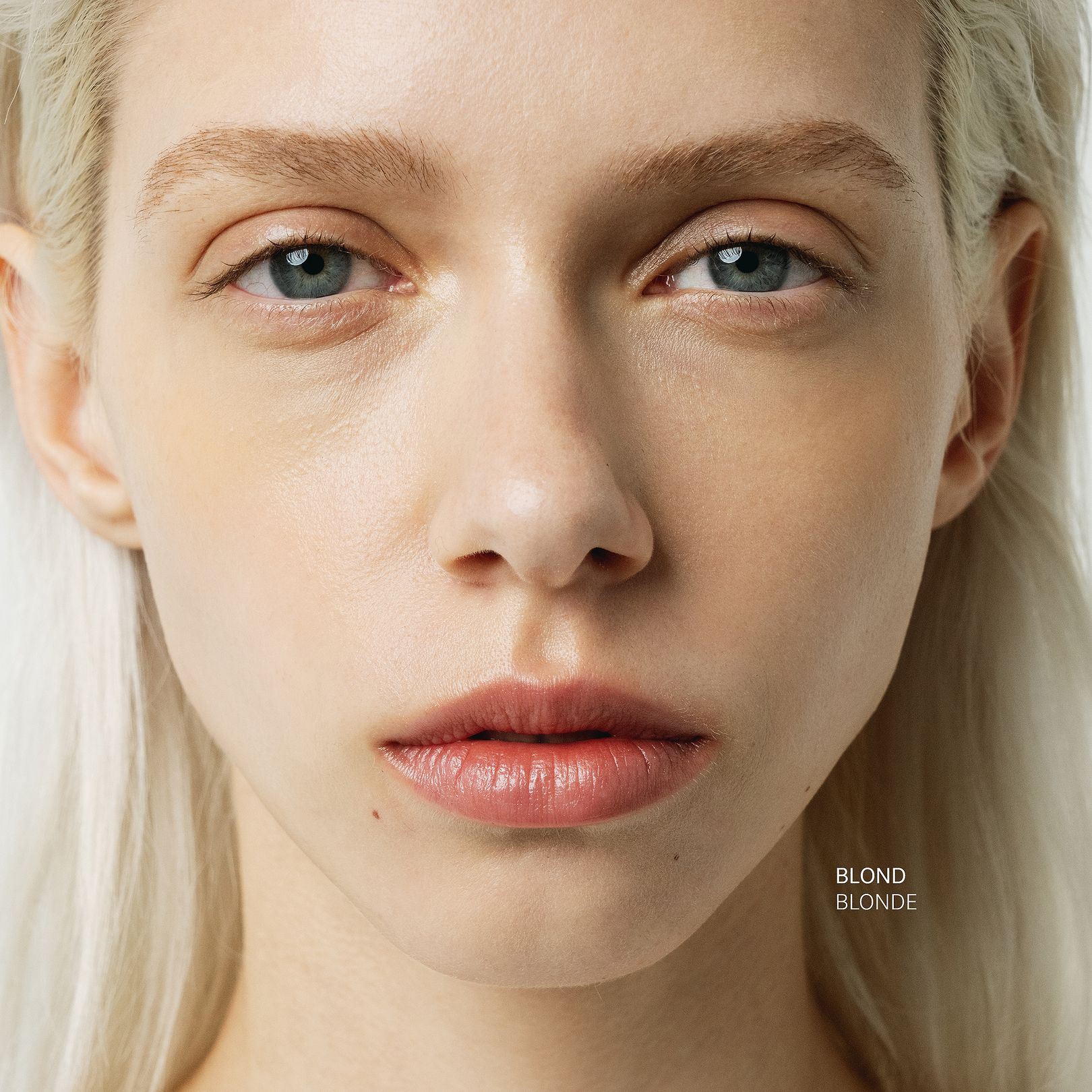 Fortifying Brow Gel — Typology — Typology