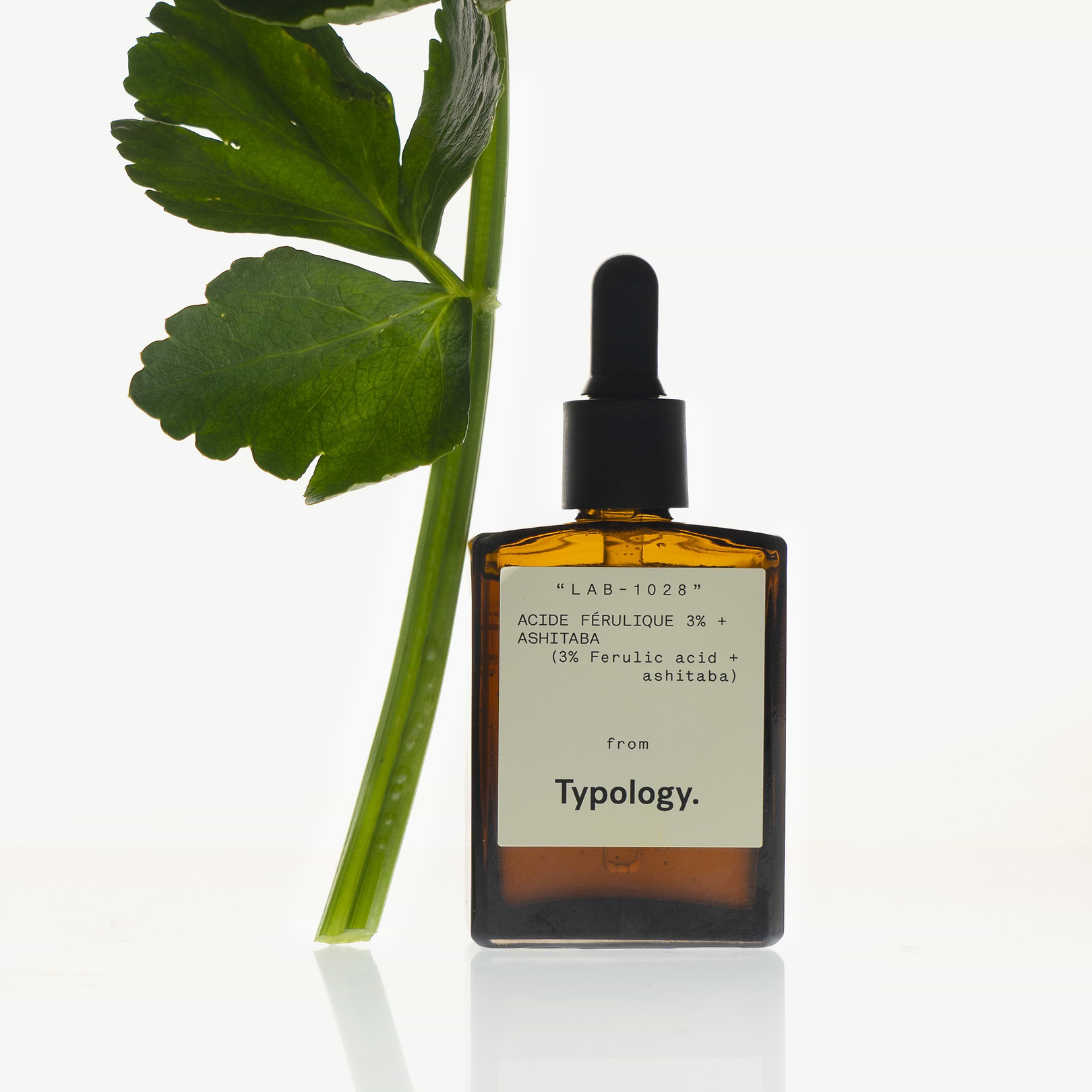 Antioxidant Serum with 3% Ferulic Acid + Ashitaba — Typology