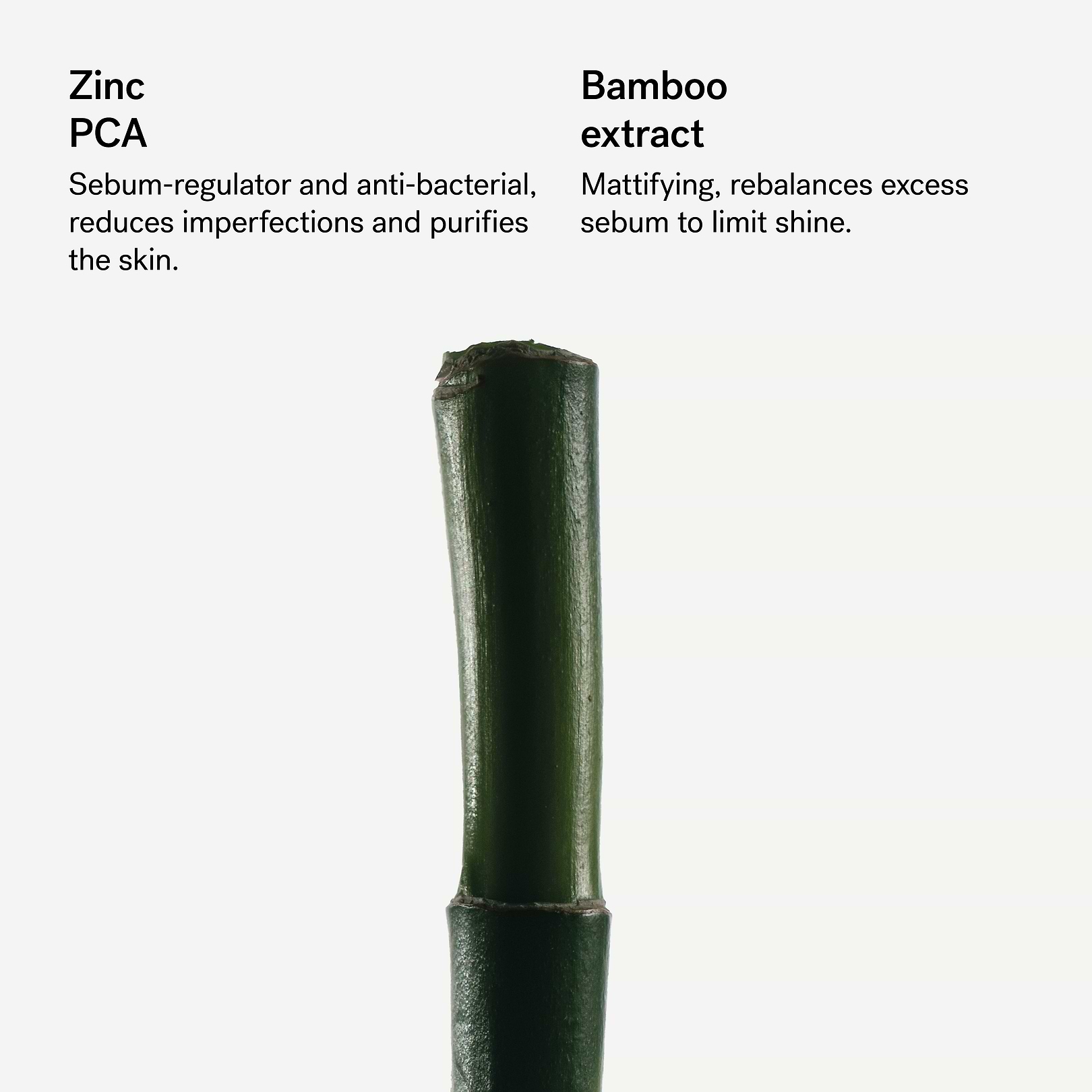 Purifying Moisturizer with 4% Zinc PCA & Bamboo — Typology